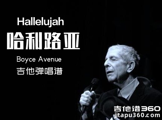 <b>哈利路亚吉他谱 哈利路亚《Hallelujah》吉他弹唱谱 六线谱</b>