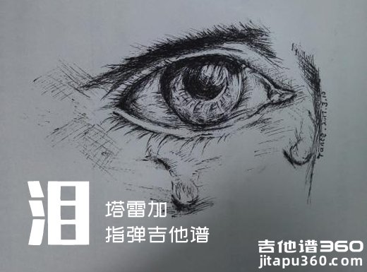 <b>泪独奏谱 塔雷加进阶E大调《泪》指弹吉他谱 六线谱</b>