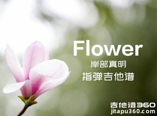 <b>Flower指弹谱 岸部真明《Flower》花指弹吉他谱 独奏谱</b>