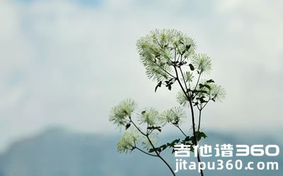 那些花儿指弹谱 朴树 吉他独奏谱 图片谱