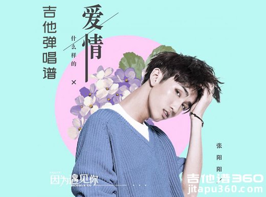 什么样的爱情吉他谱 张阳阳《什么样的爱情》吉他弹唱谱 六线