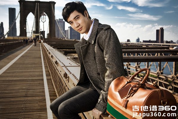 龙的传人吉他谱 王力宏 C调简单版 吉他弹唱谱