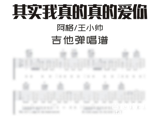 阿格/王小帅《其实我真的真的爱你》吉他谱