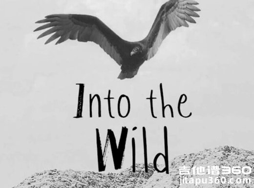Into The Wild吉他谱 蔡健雅《IntoTheWild》吉他弹唱谱 六线谱
