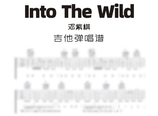 IntoTheWild吉他谱
